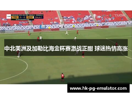 中北美洲及加勒比海金杯赛激战正酣 球迷热情高涨 中北美洲及加勒比海金杯赛激战正酣 球迷热情高涨