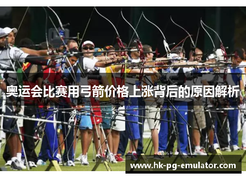 奥运会比赛用弓箭价格上涨背后的原因解析